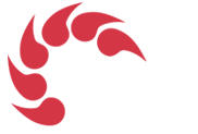 CLM Vibetech